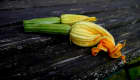 Fleurs de courgette
