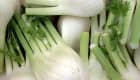 Bulbes de fenouil