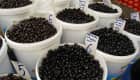 Olives noires