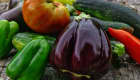 Aubergines, poivrons, tomates et courgettes