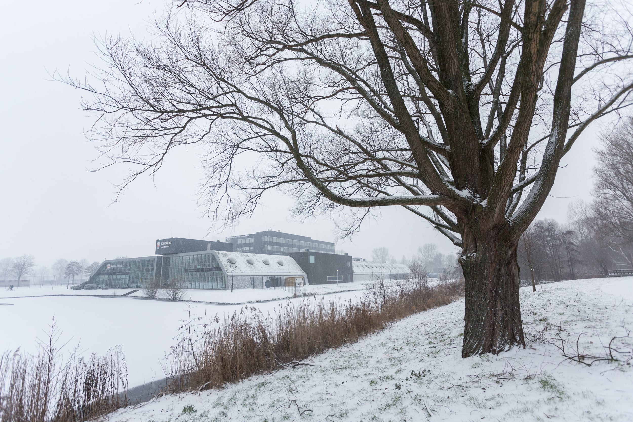 HvanA is met winterstop – dit zijn onze best gelezen stukken