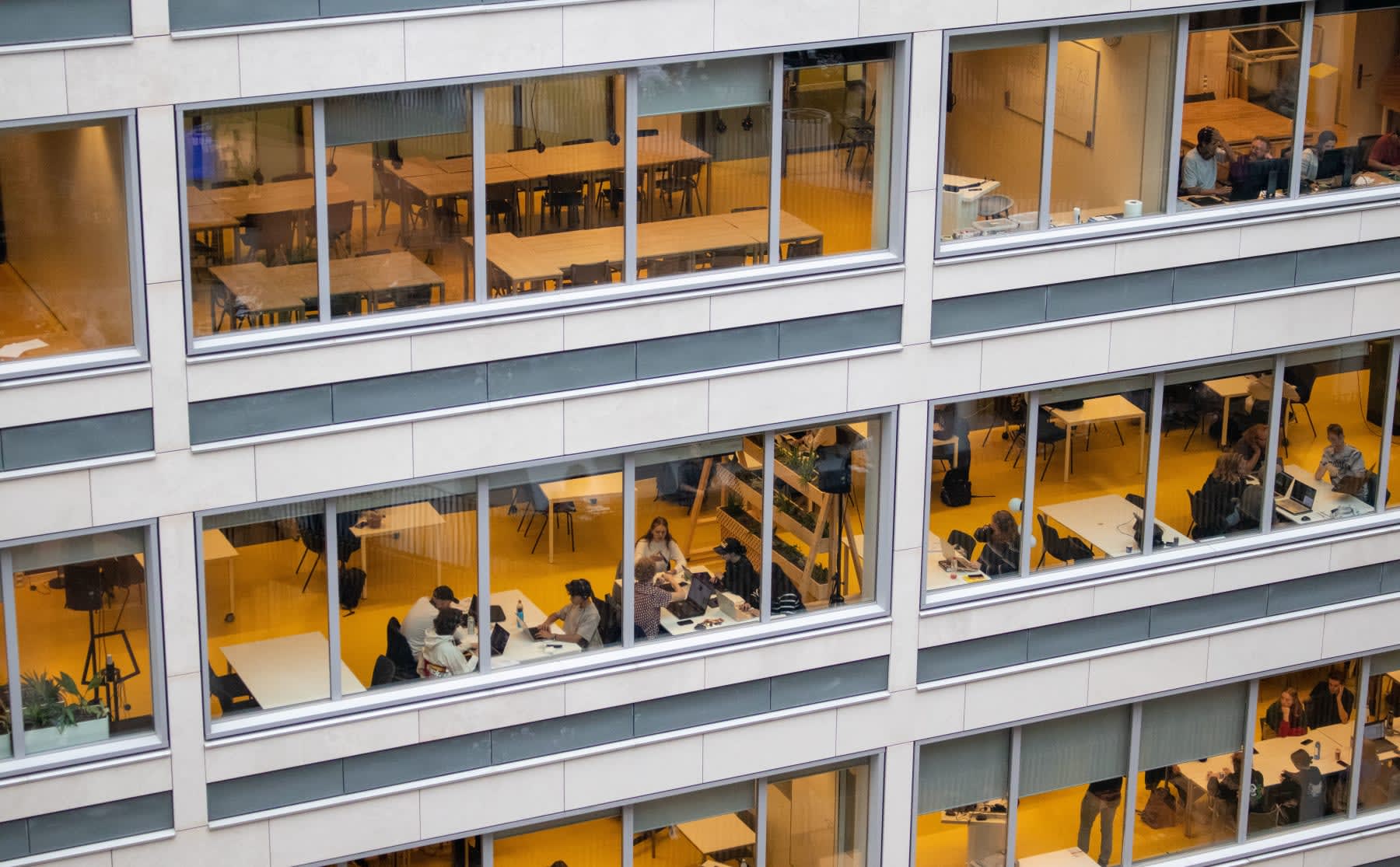 Wel of geen bindend studieadvies? Opleidingen op de HvA maken nu zelf de keuze