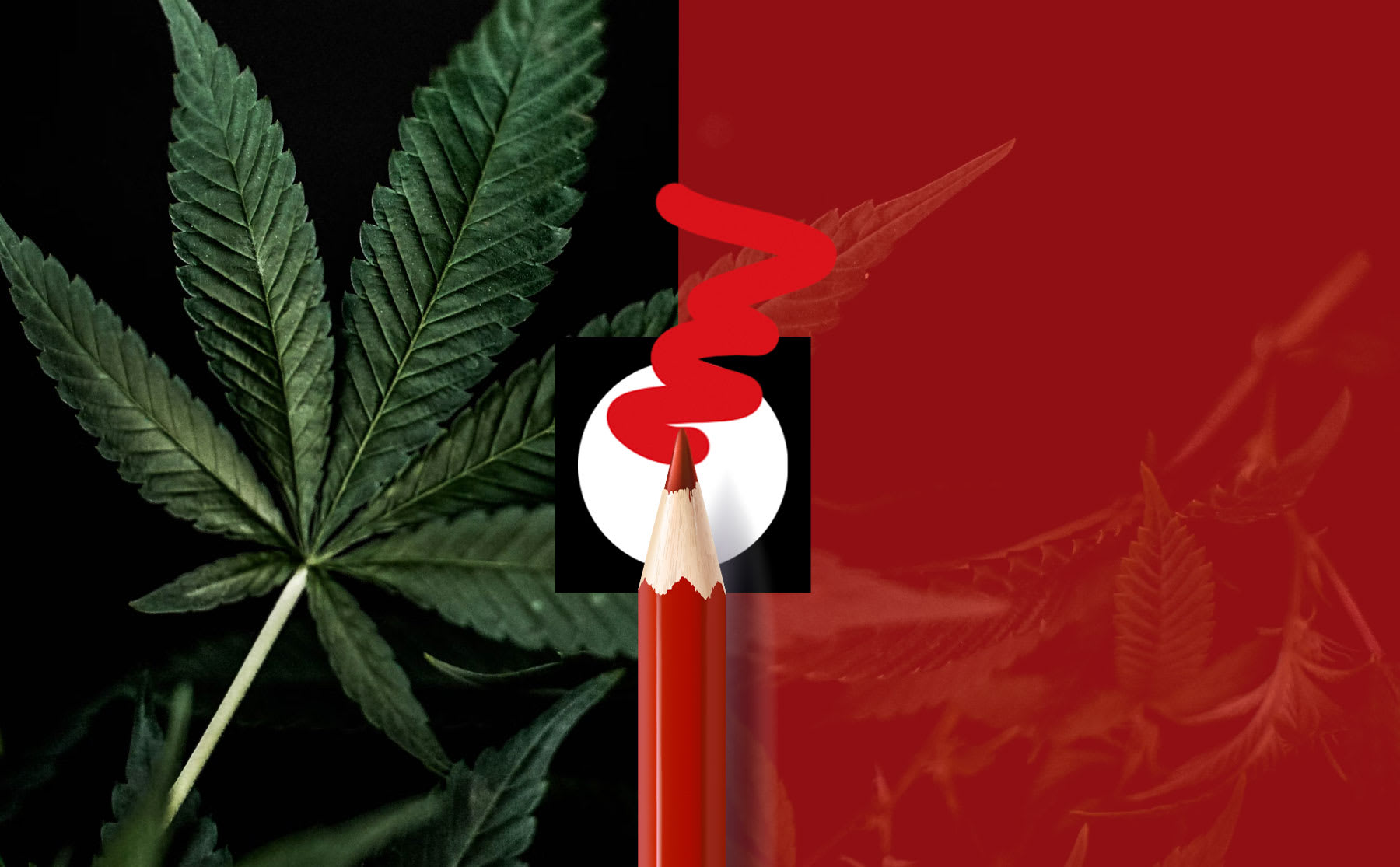 wiet-alleen-voor-eigen-volk-of-alle-drugs-legaal-dit-zeggen-de-partijen-image Wiet alleen voor eigen volk of alle drugs legaal? Dit zeggen de partijen