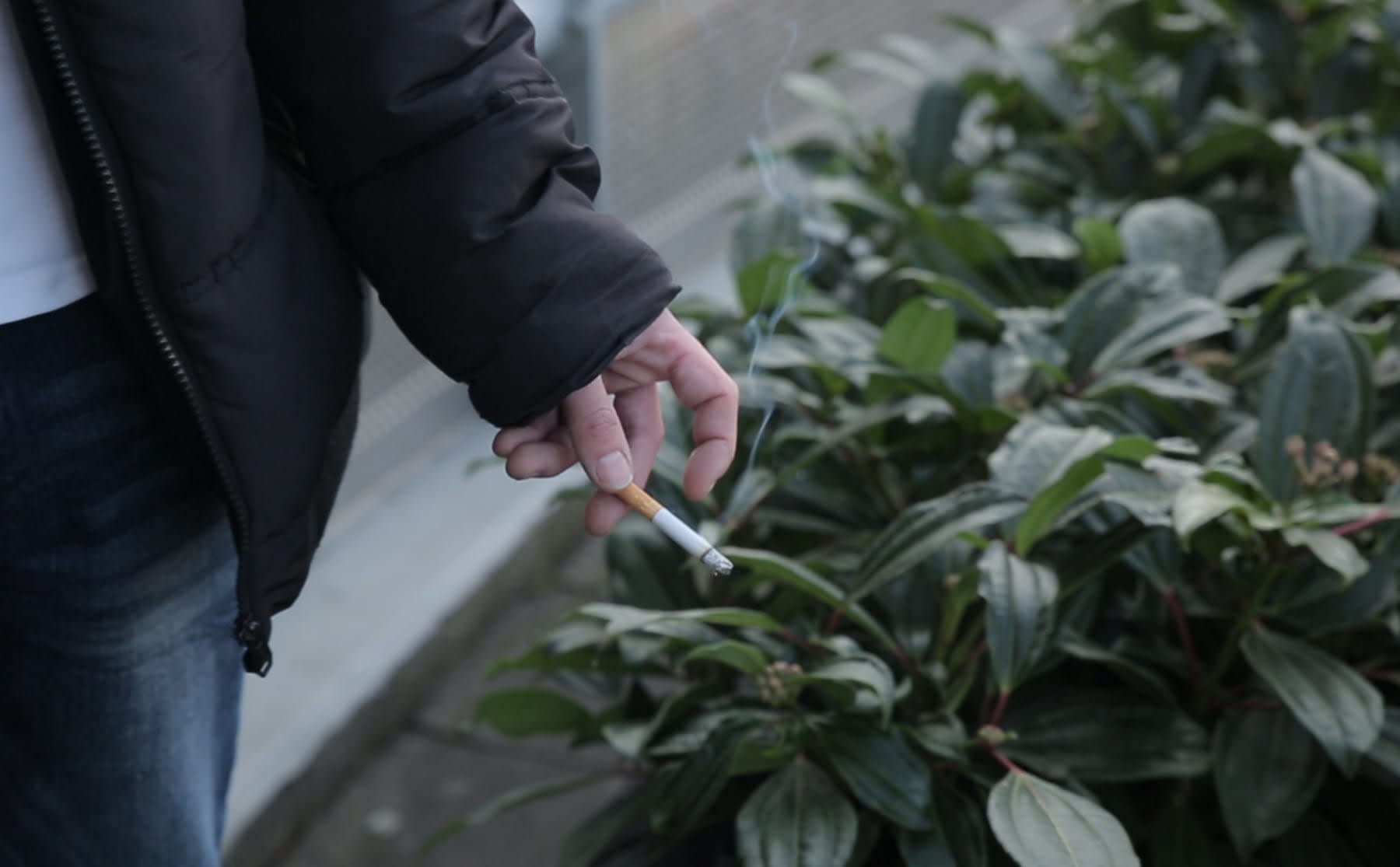 De HvA is ruim een jaar rookvrij, maar &lsquo;&eacute;&eacute;n grote asbak&rsquo;