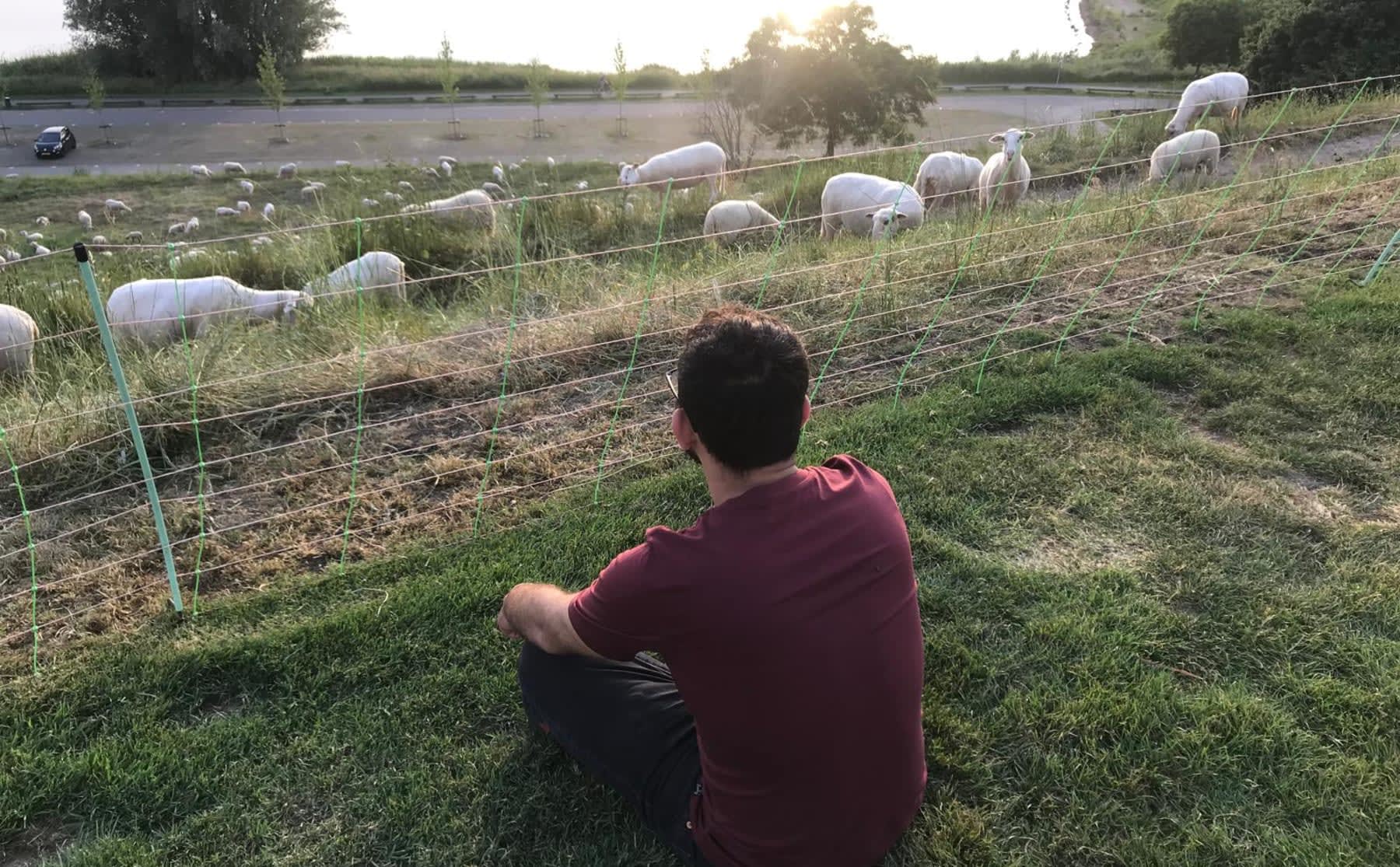 Omar vluchtte voor de oorlog in Syri&euml;: &lsquo;Ik voel me een vreemdeling&rsquo;