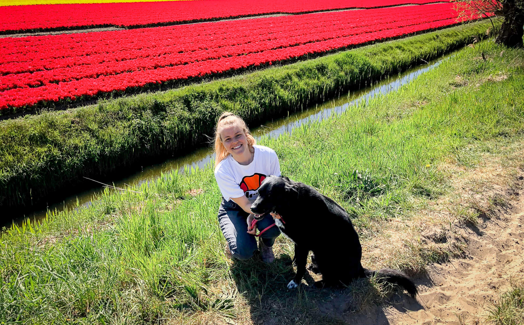 droombaan-sam-wil-de-communicatie-doen-bij-een-ziekenhuis-image Droombaan: Sam wil de communicatie doen bij een ziekenhuis