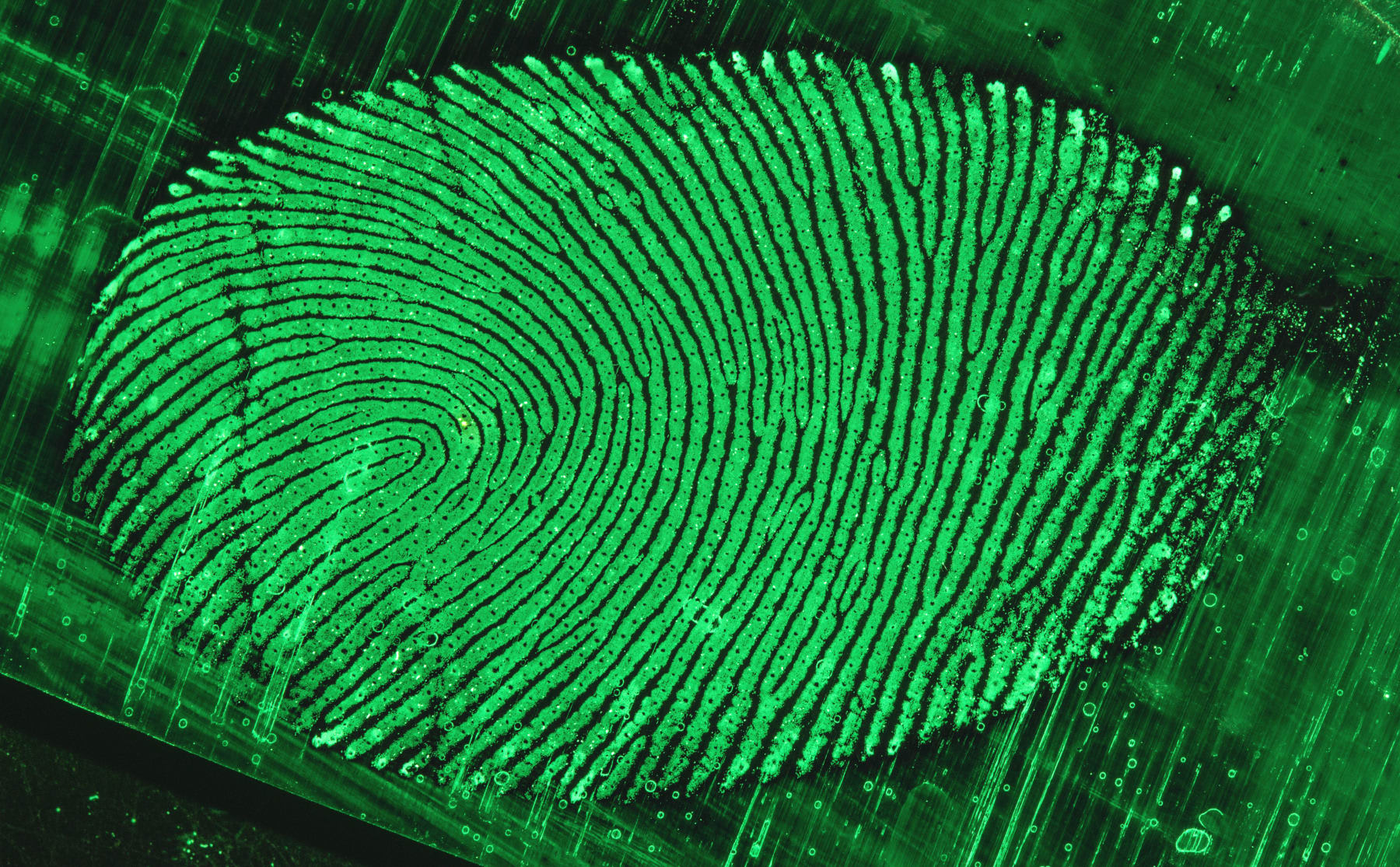 niet-de-lijntjes-op-je-vinger-maar-wat-je-eet-of-aanraakt-kan-je-straks-verraden-image Niet de lijntjes op je vinger, maar wat je eet of aanraakt kan je straks verraden