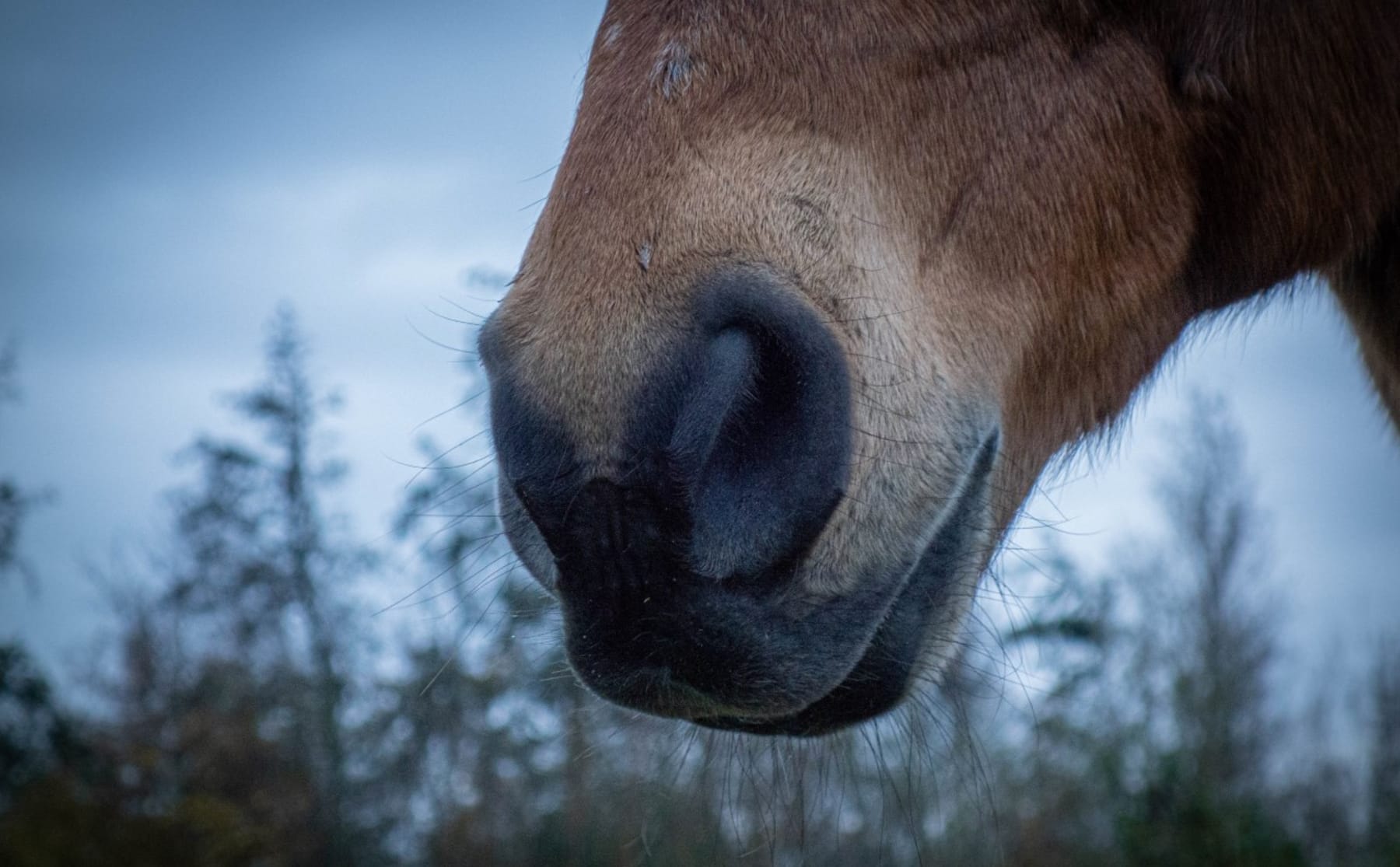 de-doorgeefcamera-juist-de-grauwe-sfeer-in-een-foto-vind-ik-vet-image De Doorgeefcamera: ‘Juist de grauwe sfeer in een foto vind ik vet’
