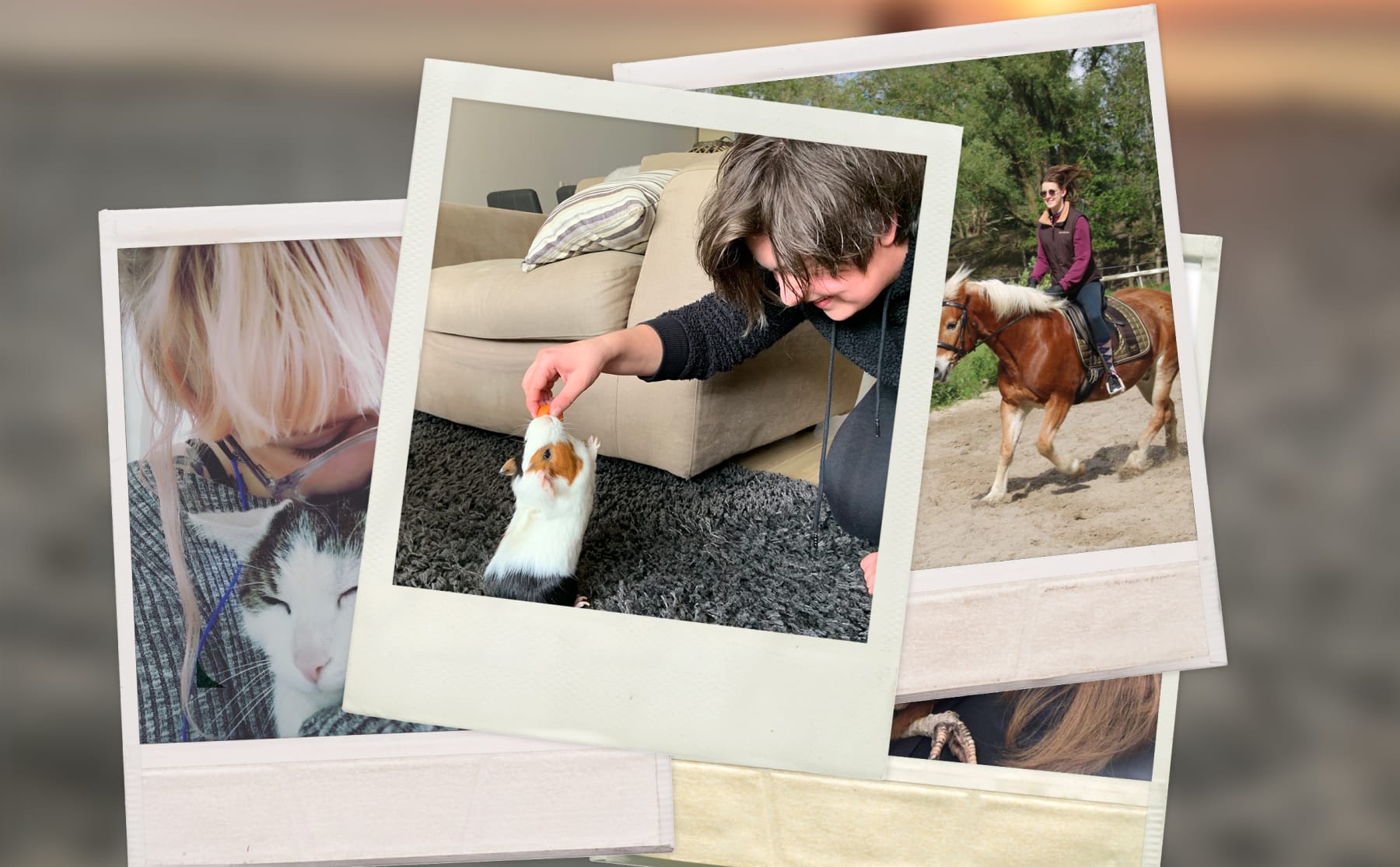 gespot-zo-verwenden-jullie-je-huisdier-met-dierendag-image Gespot: Zo verwenden jullie je huisdier met Dierendag