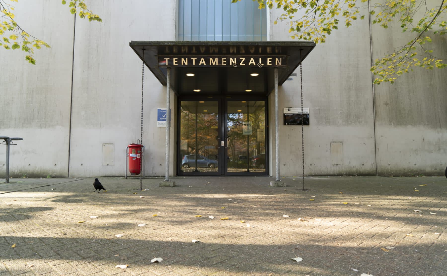 thuis-tentamens-maken-vergt-van-docent-en-student-veel-vertrouwen-in-elkaar-image Waarom je als student op de HvA steeds minder tentamens krijgt