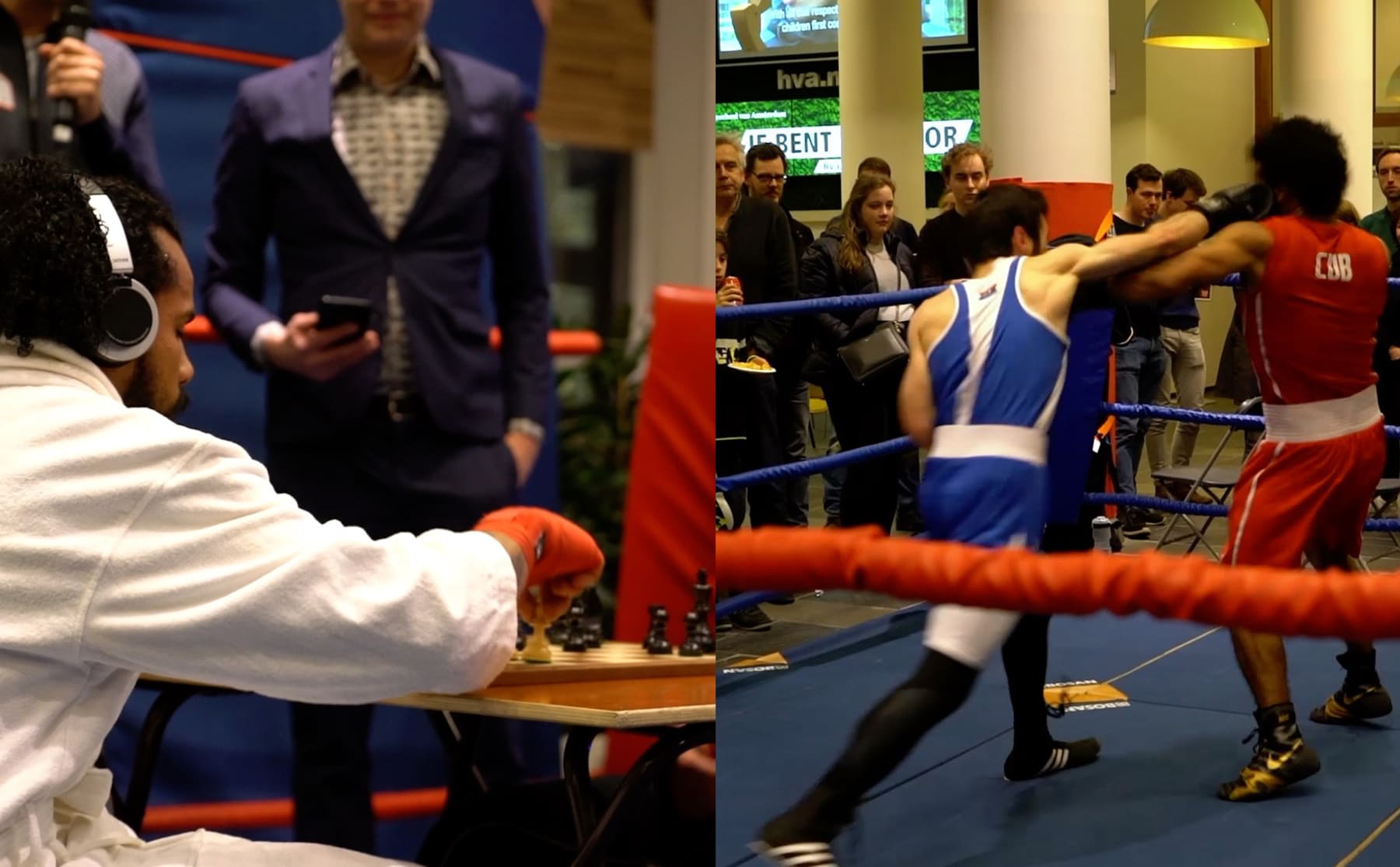 Schaken in een boksring: dit was het Chesstival