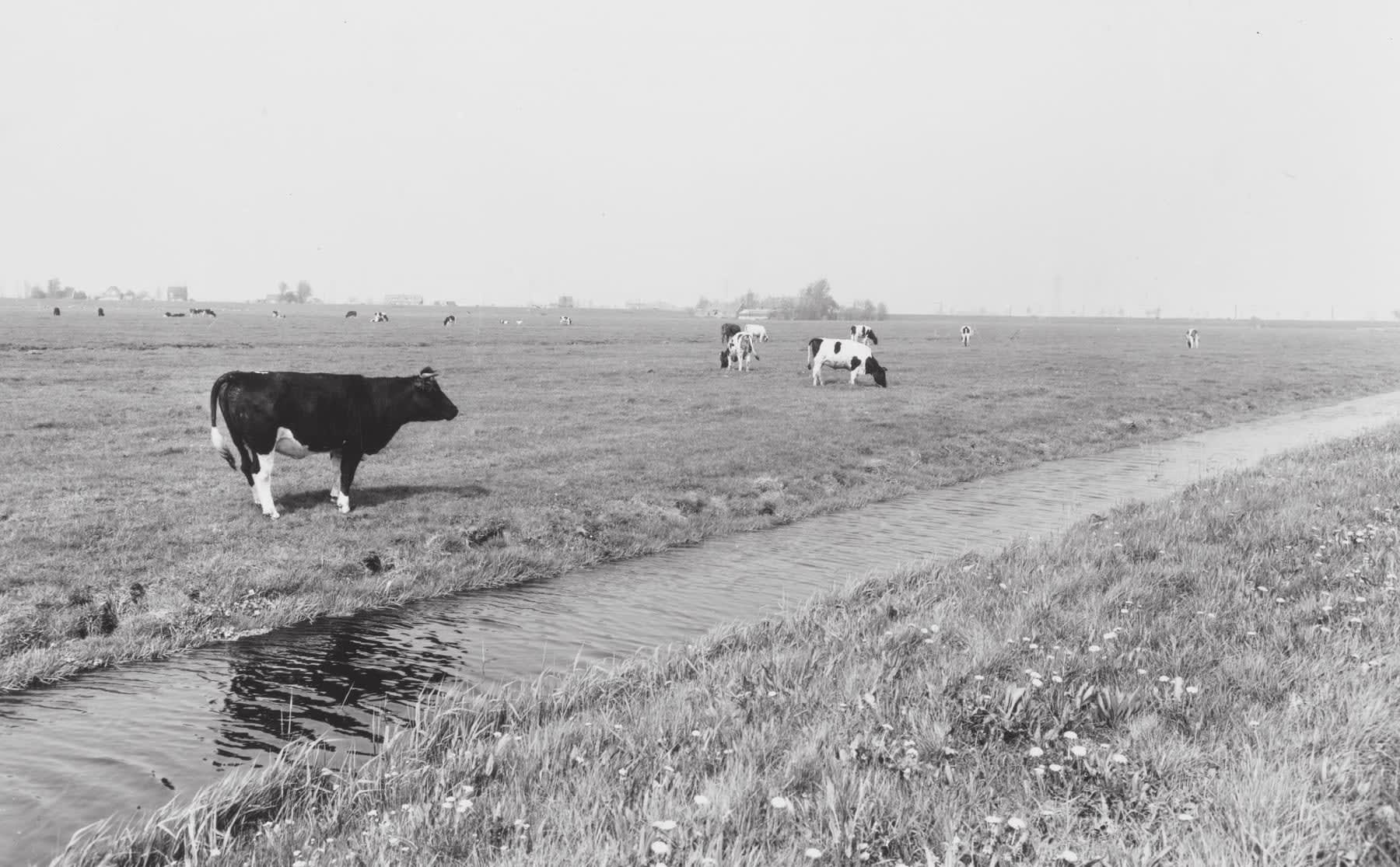 Turfsteken tot Tulphuis &ndash; hoe de gezondheidscampus is ontstaan