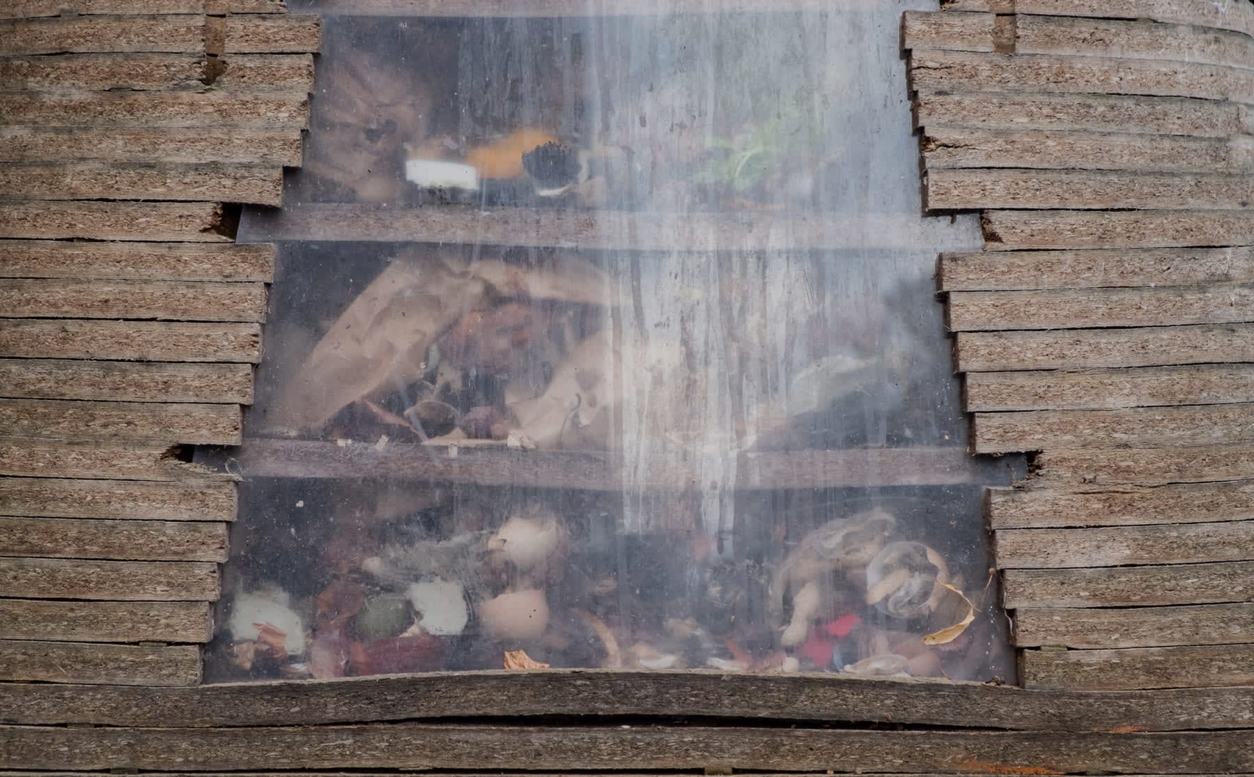 Wil jij je #plantbabies voeden met je eigen afval? Wormen helpen je