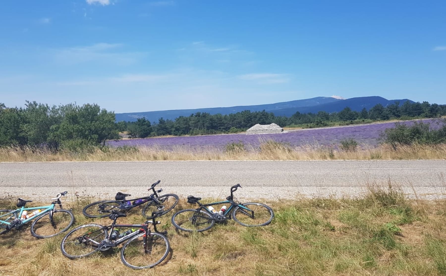 vakantie-met-de-vereniging-met-noodweer-de-mont-ventoux-op-image Vakantie met de vereniging: met noodweer de Mont Ventoux op
