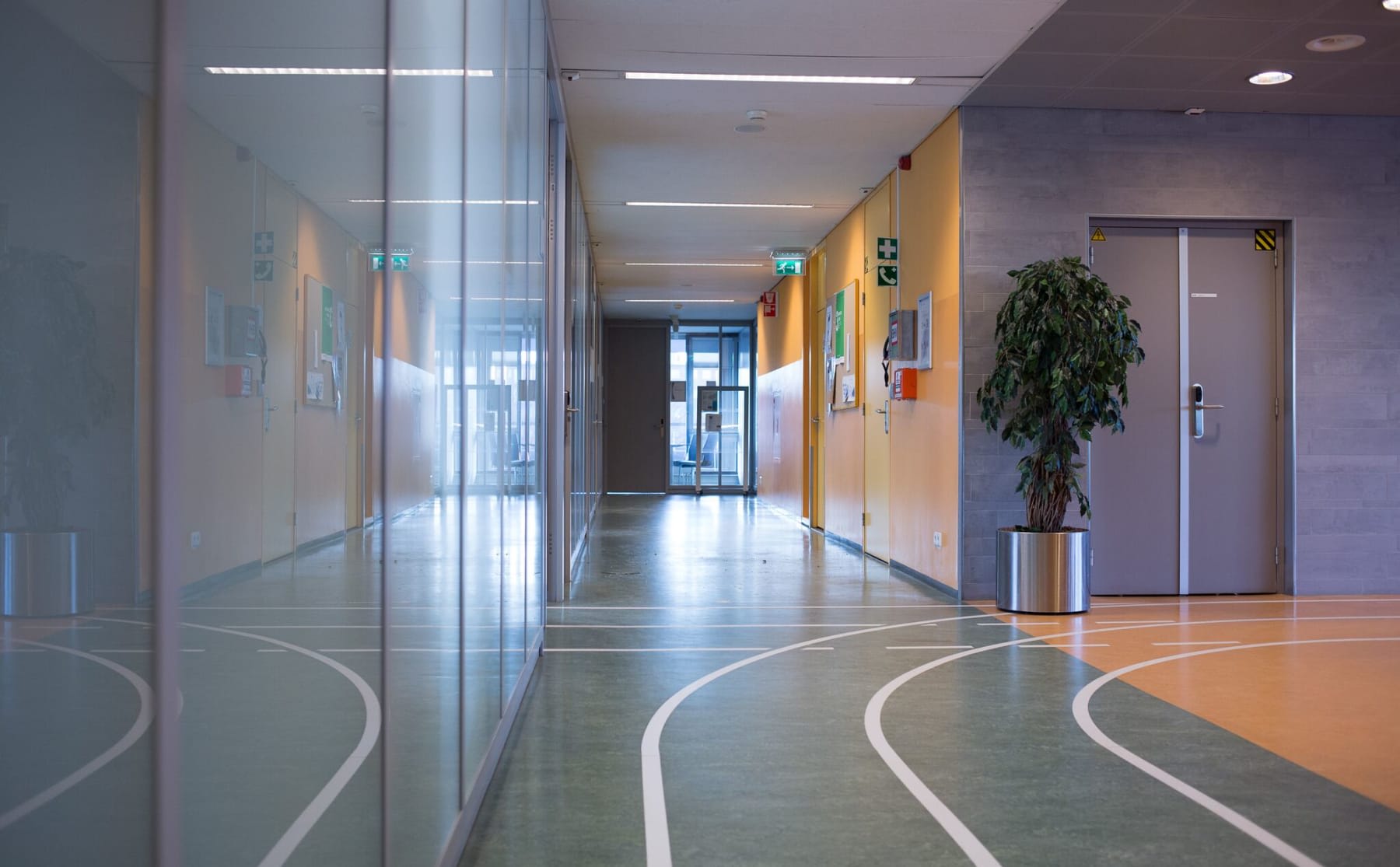 mysterie-van-trillingen-ontrafeld-het-zijn-toch-springende-studenten-image Mysterie van trillingen ontrafeld, het zijn tóch springende studenten