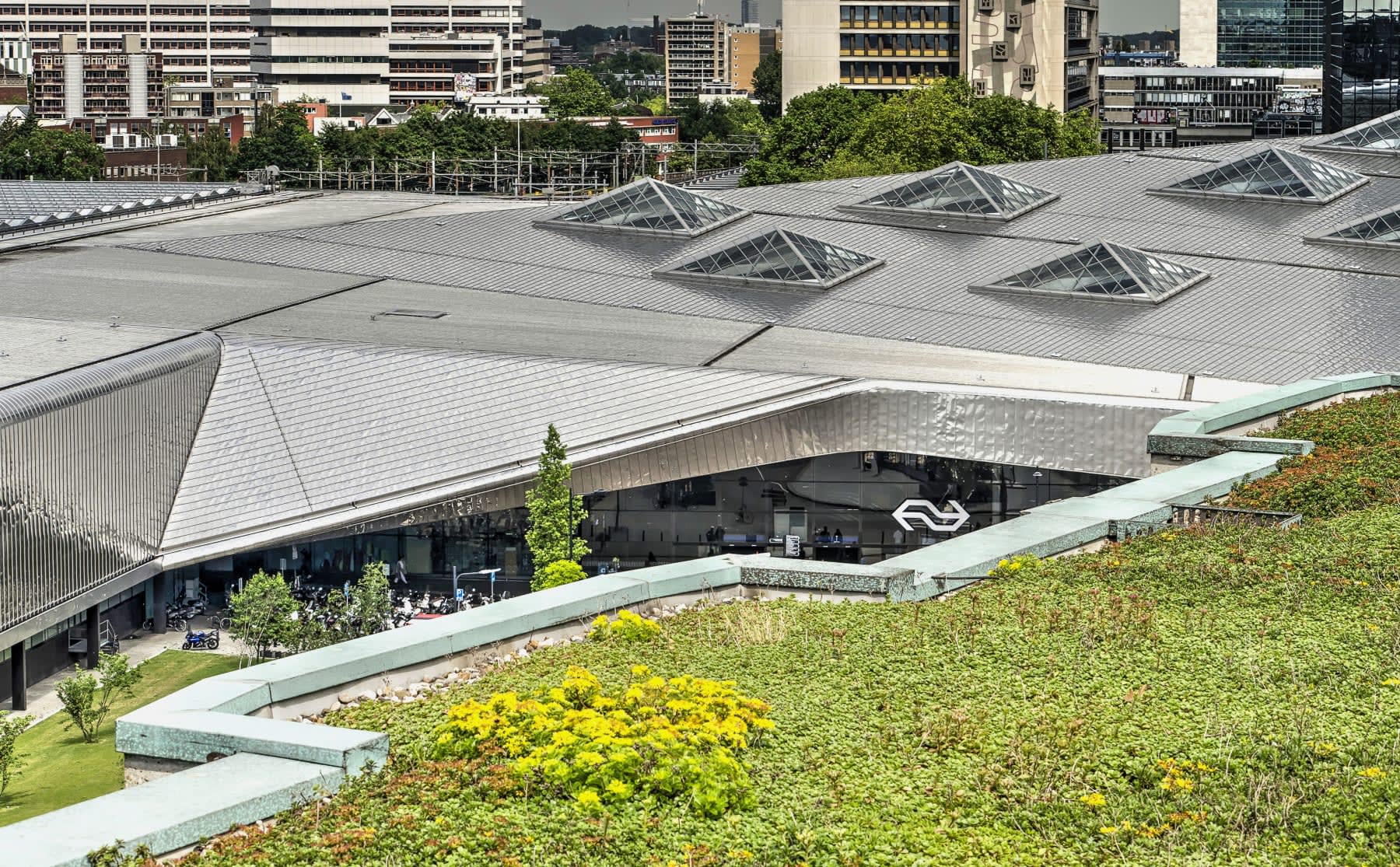 Water en planten op je dak: hoe staat het met de blauw-groene daken?