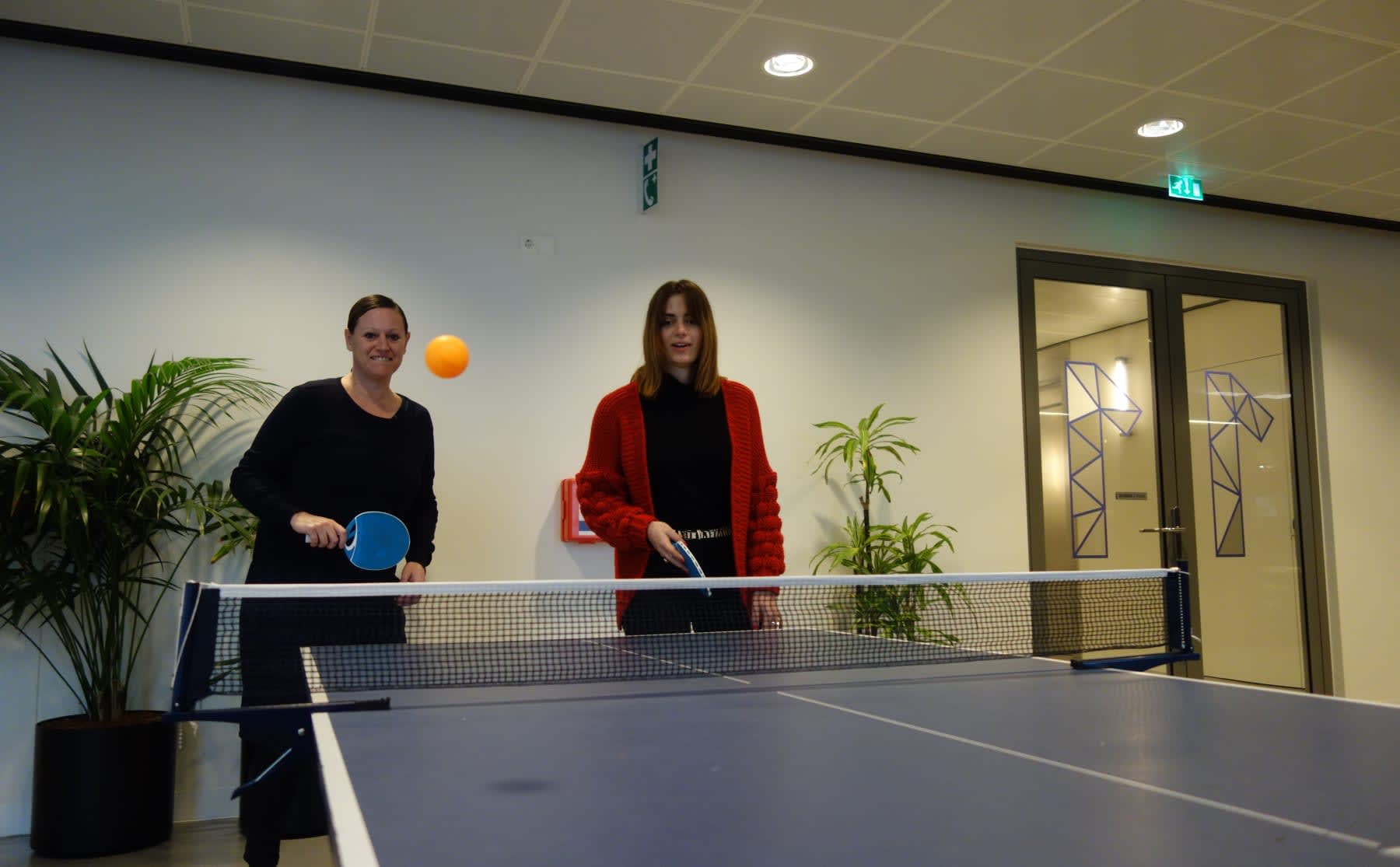 De pingpongtafel in het Wibauthuis: huisdier &eacute;n hoofdpijndossier