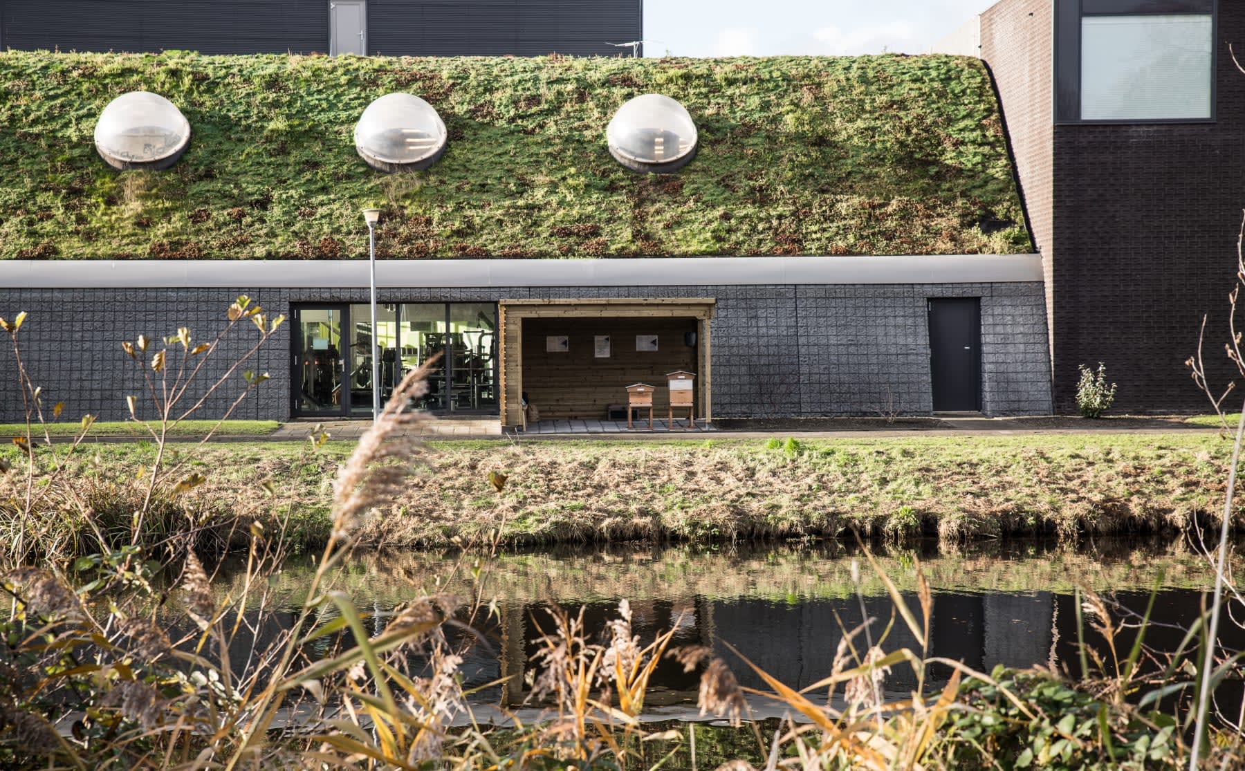 waar-komen-toch-die-mysterieuze-trillingen-op-de-sportcampus-vandaan-image Waar komen toch die mysterieuze trillingen op de sportcampus vandaan?