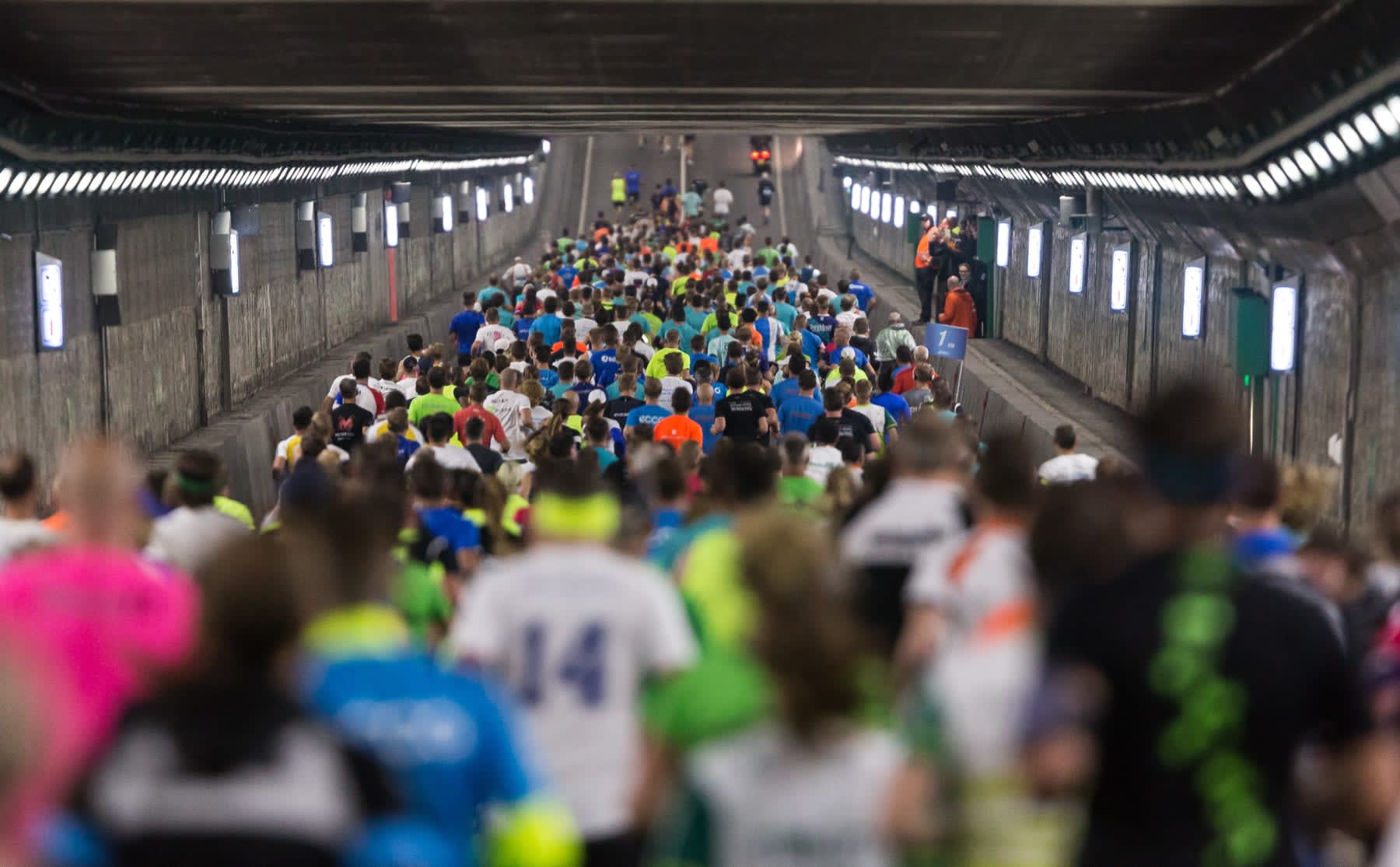 Damlooprecord voor UvA/HvA-damesteam, heren tweede