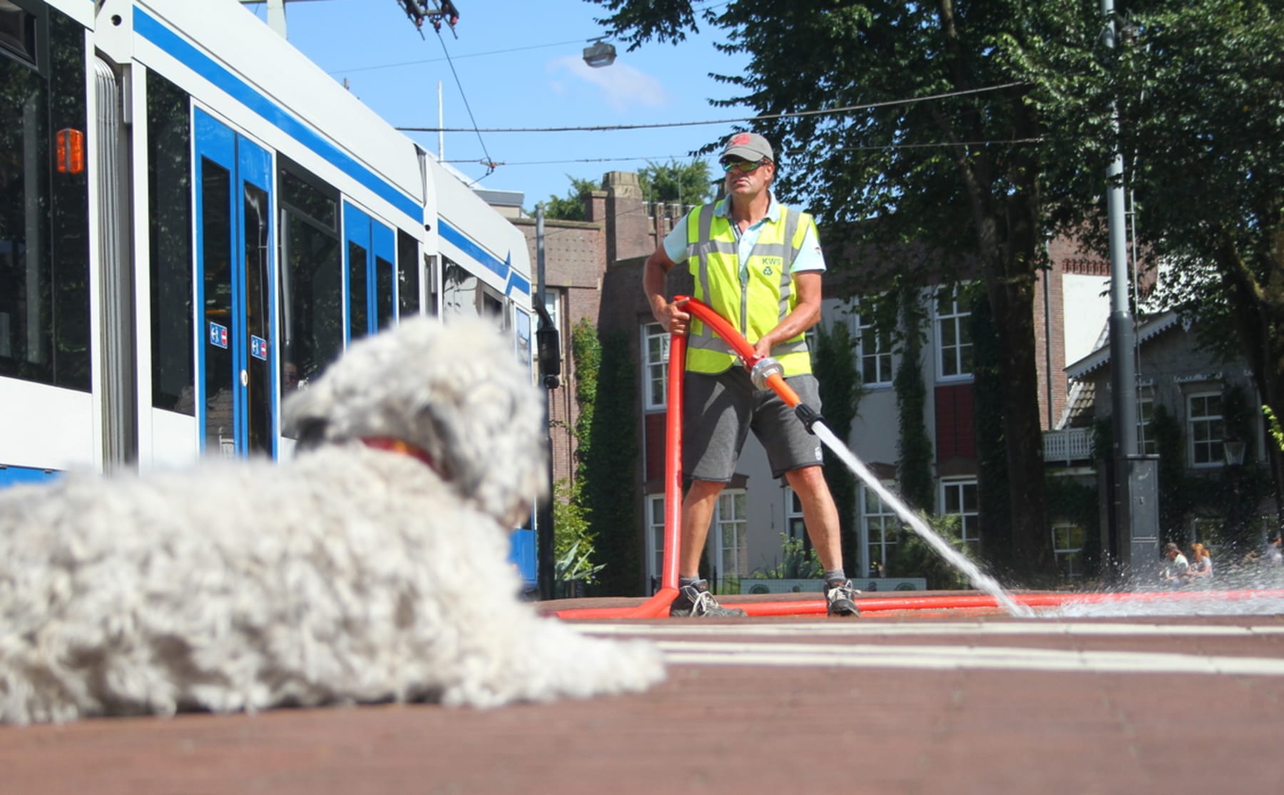 Fotocursus bij Crea: is er genoeg hoofdruimte?