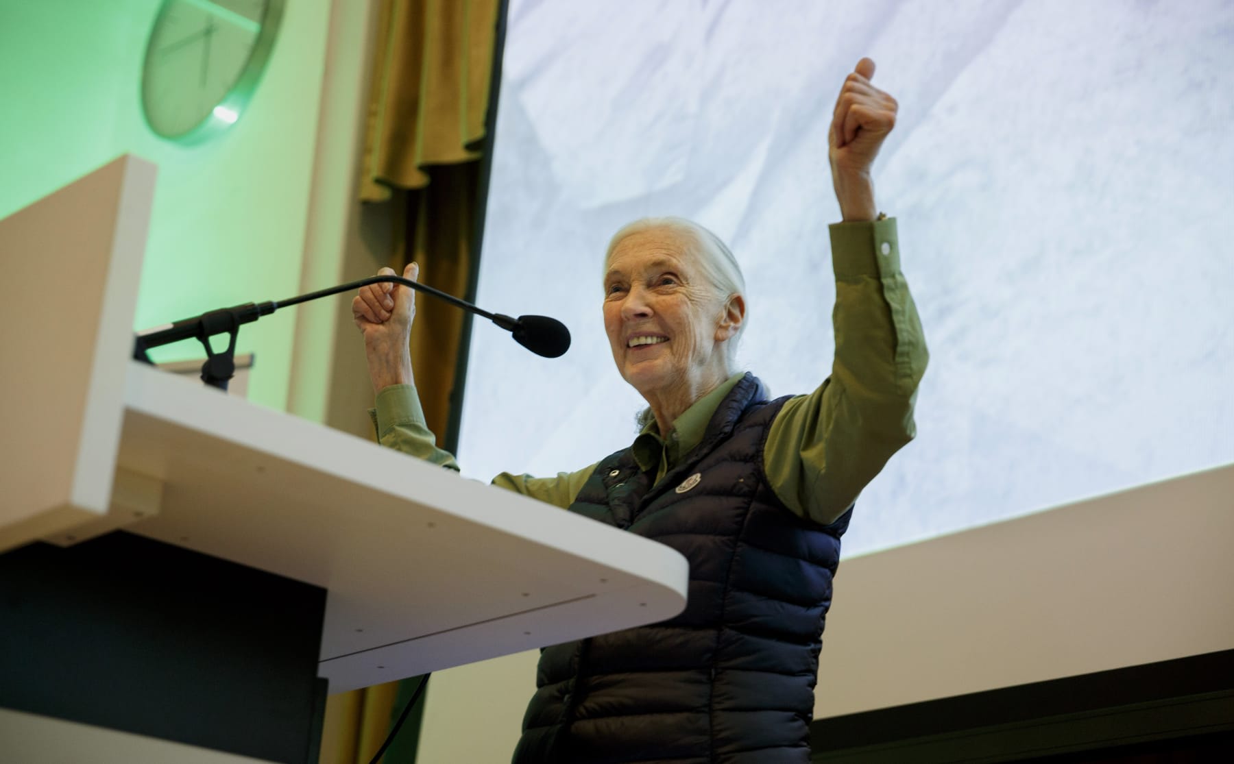 jane-goodall-ik-zoek-jongeren-om-te-vechten-voor-een-betere-wereld-image Jane Goodall: ‘Ik zoek jongeren om te vechten voor een betere wereld’