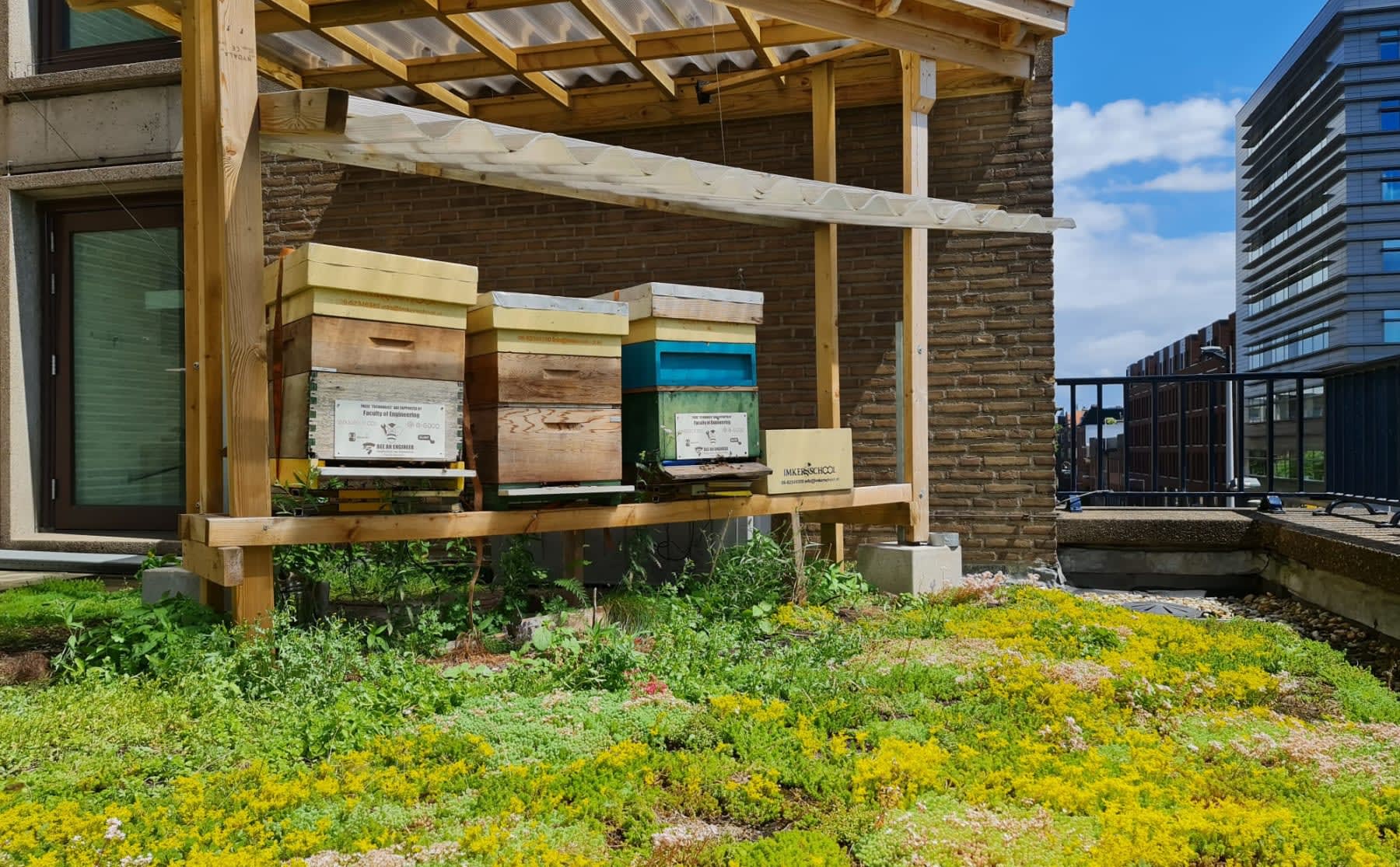 De Amsterdamse stadsbij maakt honing op de HvA