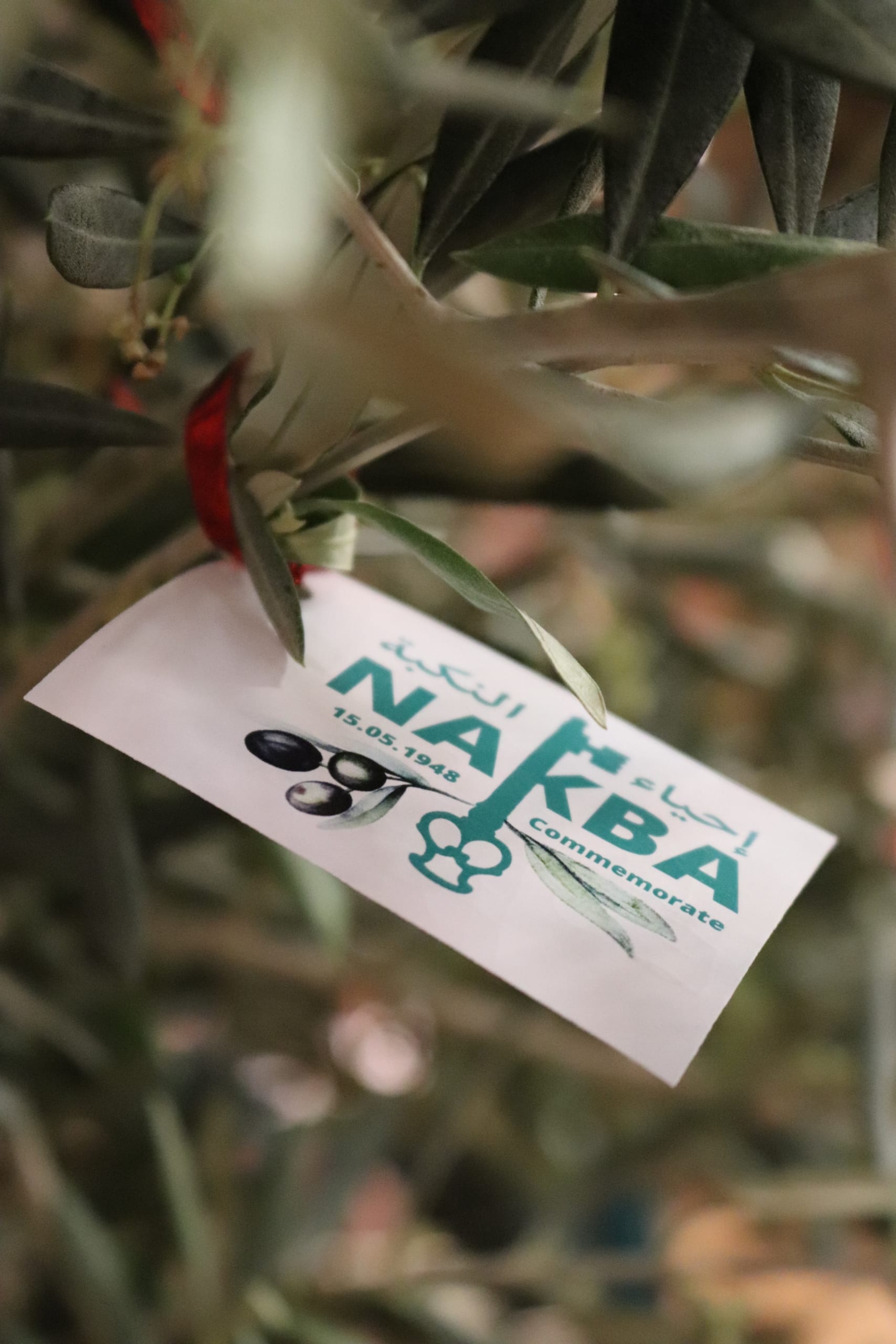 Olijfboom Nakba-herdenking Amsterdam