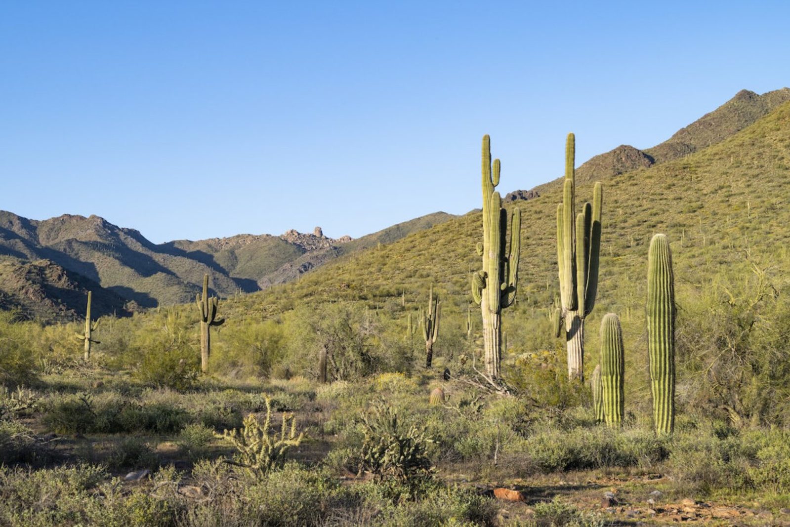 Road trip sur la Route 66: de Los Angeles au Grand Canyon en passant par Scottsdale - YONDER