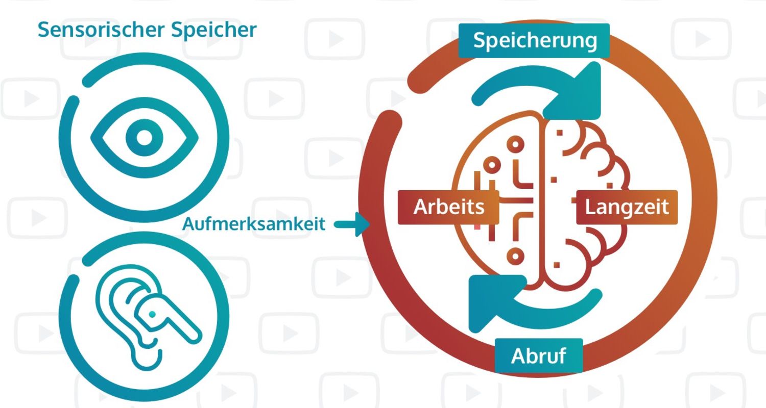 Um letztendlich im Langzeitgedächtnis gespeichert zu werden, durchlaufen Informationen verschiedene Stadien des Gedächtnisses.