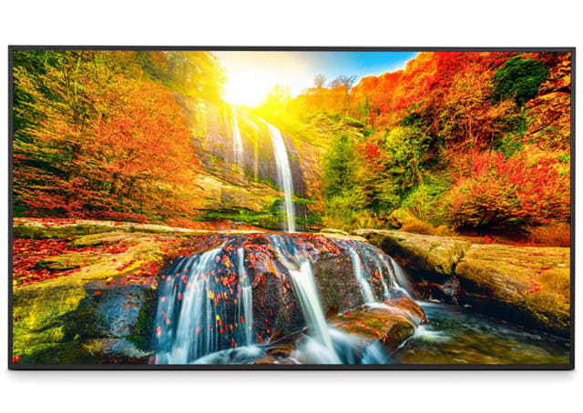 50" UHD Commercial Display