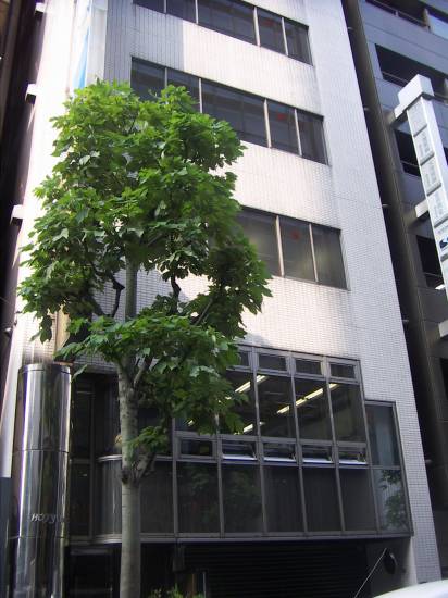 金葉ビル本館