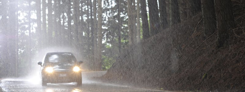 Voiture sous une forte pluie dans la forêt 