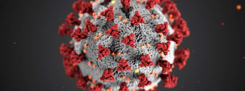 Close-up picture of the coronavirus