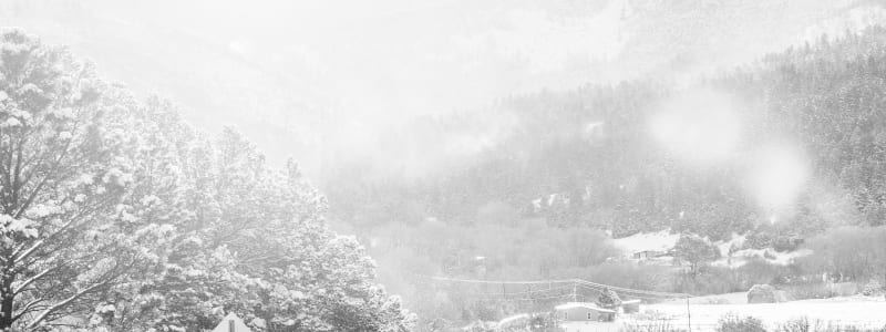 Winterreifen sind nicht nur bei Schnee wichtig, sondern auch bei Laub Wann sollte man eigentlich auf Winterreifen wechseln? Hier erfahren Sie alles zu Winterreifen