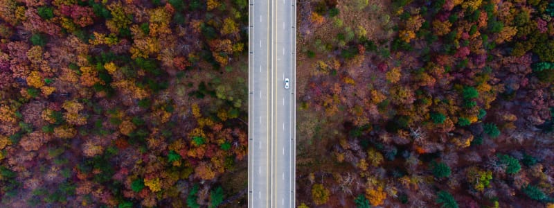 Auto fährt auf einer Straße durch eine herbstliche Landschaft Herbstwald mit Straße