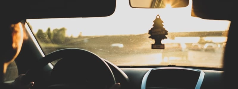 Nissan Spureinstellung und Achsvermessung Fahrer am Steuer, Sonne auf der Windschutzscheibe