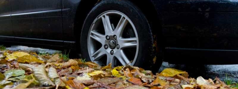 Efterårsblade gør vejen glat. Pas på når bladene falder - vejen bliver glat.