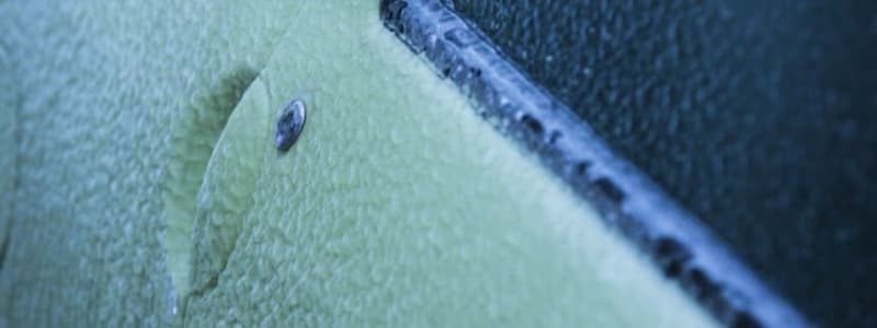 Bildør der er frosset til Bilhånd med is på