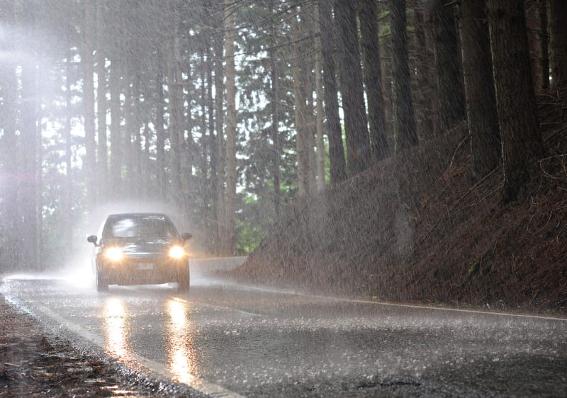 Conseils et astuces pour protéger votre véhicule contre la pluie et ses désagréments Voiture sous une forte pluie dans la forêt
