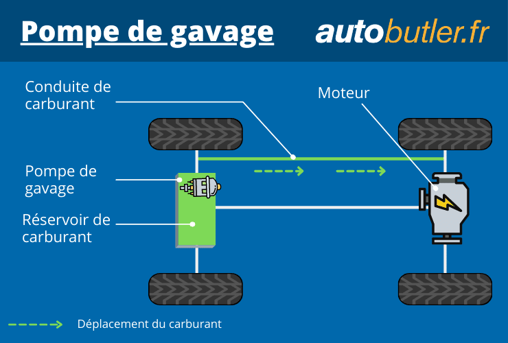 pompe de gavage schéma fonctionnement