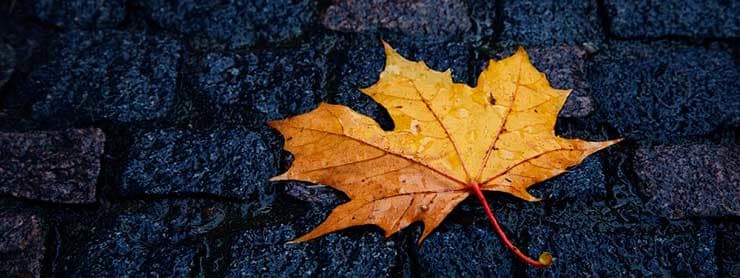 Für Autofahrer bedeutet Herbst vor allem nasse und rutschige Straßen