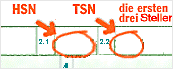 TSN