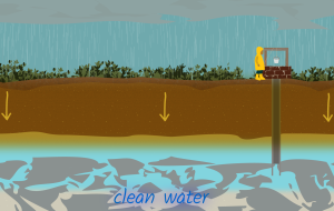Build a Water Filter