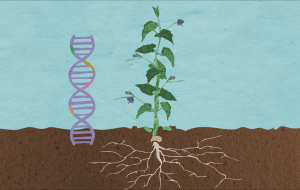 Design a Set of Mechanical Genes