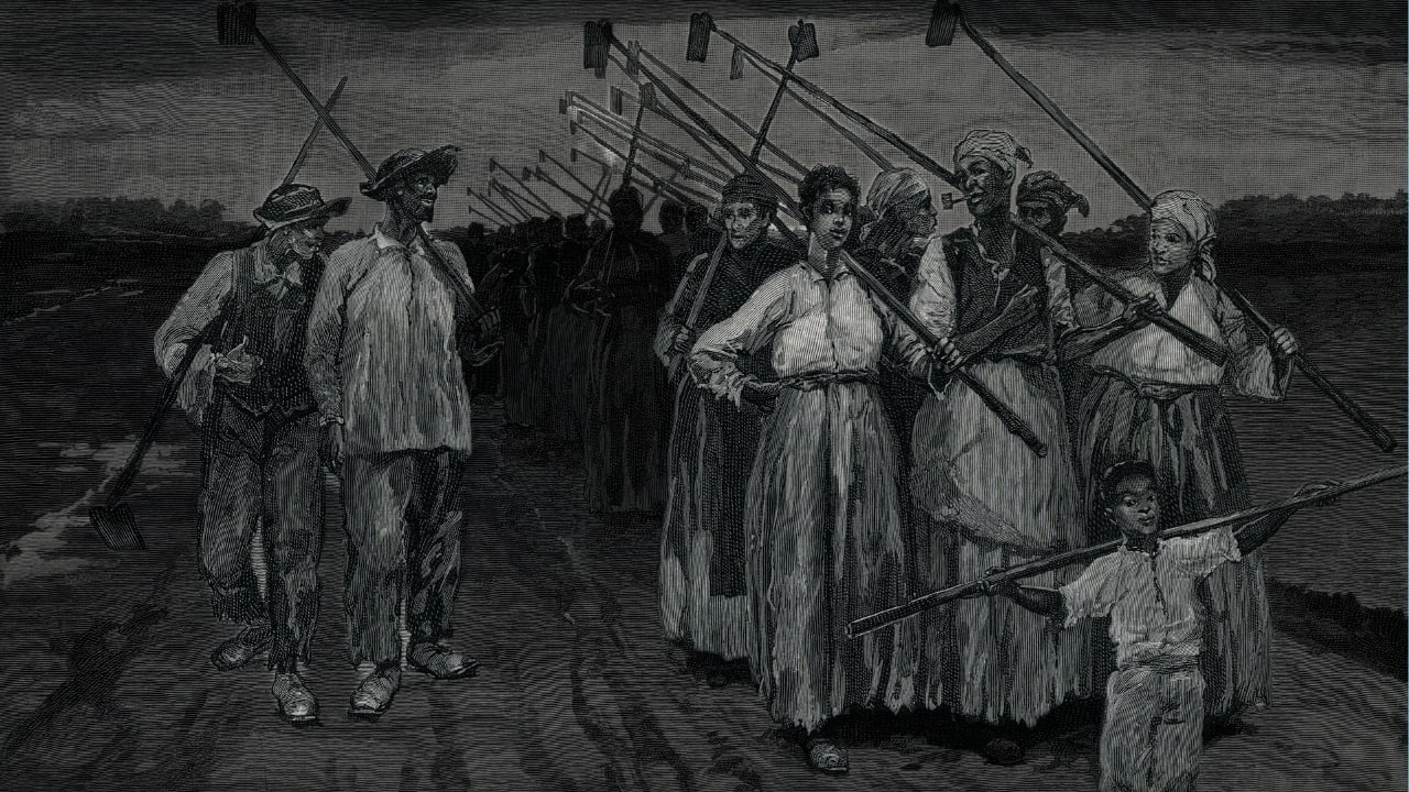 Abolitionism Was Actually a Free Market Cause