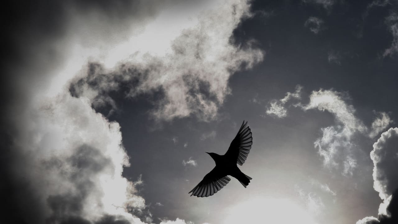 What's Natural About Adam Smith's Natural Liberty?