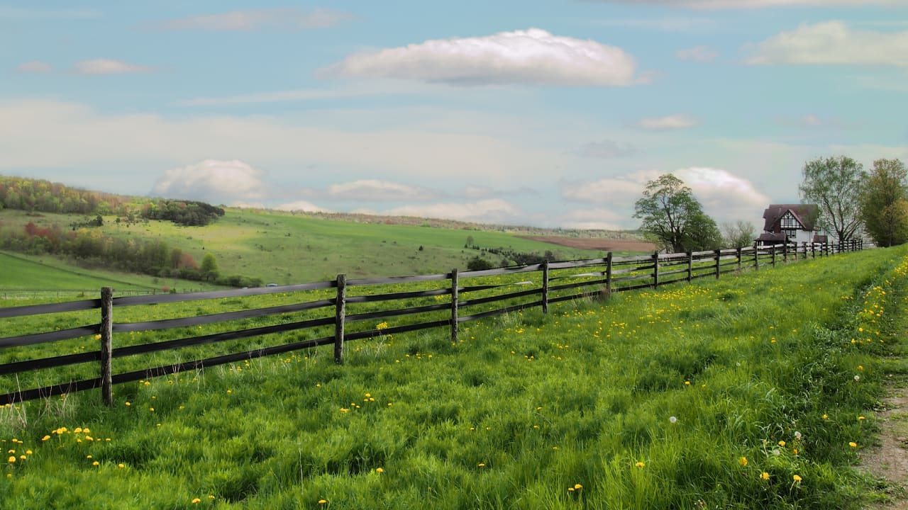 Property Rights: The Key to Economic Development