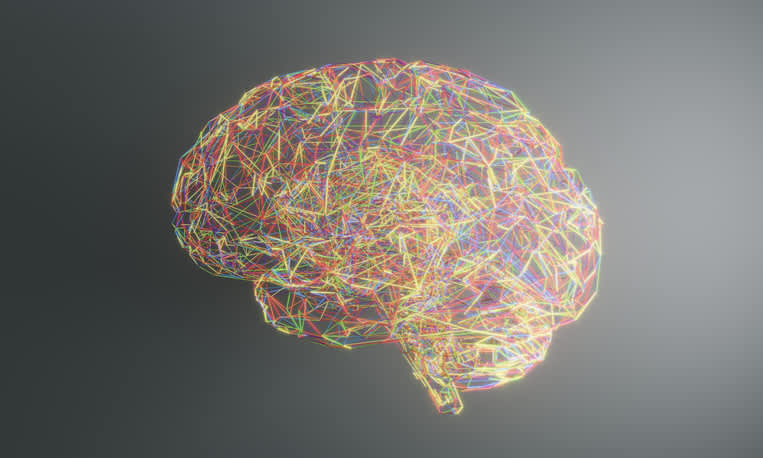 The Partisan Brain