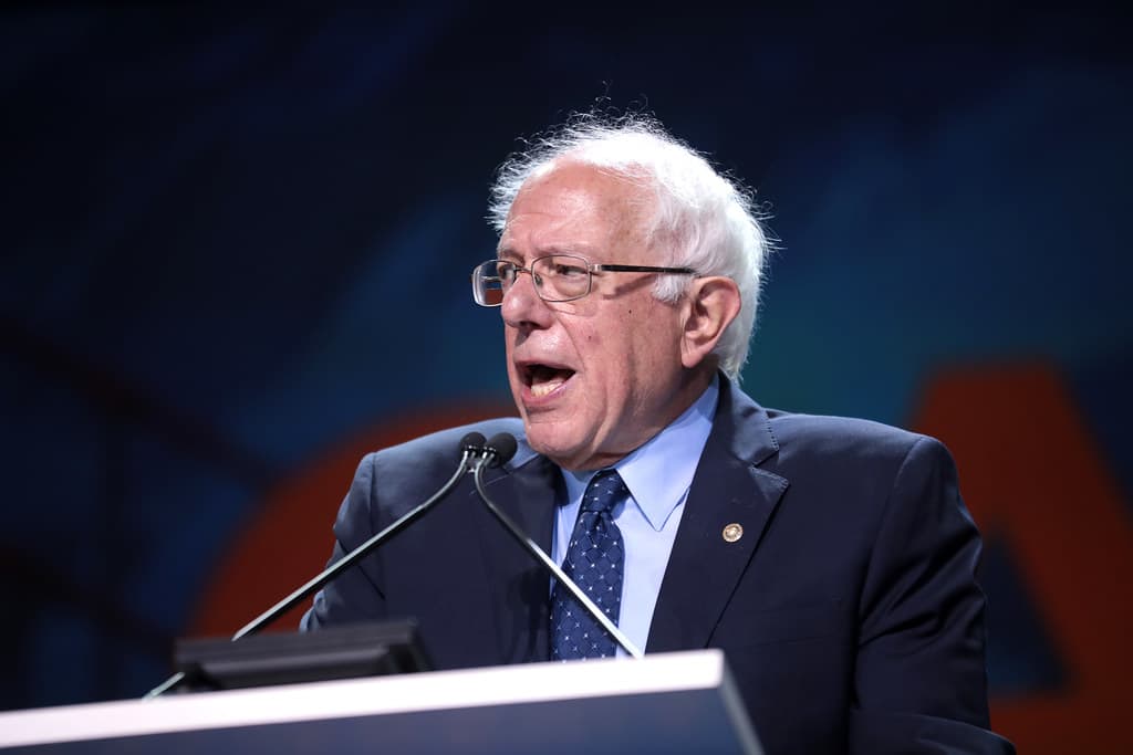 Media Name: bernie_sanders_the_accidental_nominee.jpg