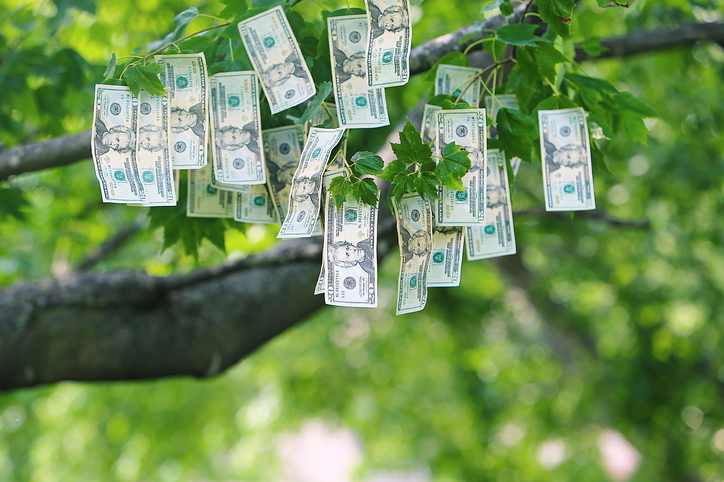 Three Widely Believed Economic Fallacies